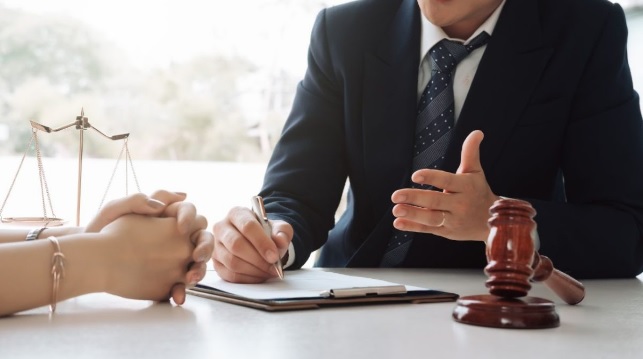 بهترین وکیل مهاجرت به هلند